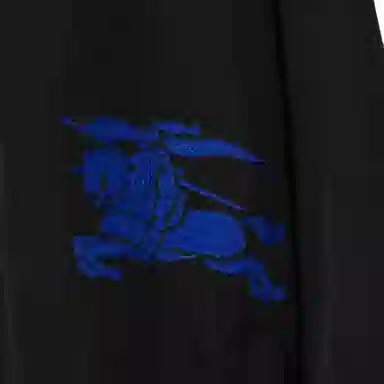 Burberry Logo