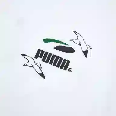 PUMA SS25 SS GF TEE PARO T