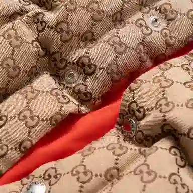 GUCCI x THE NORTH FACE FW21