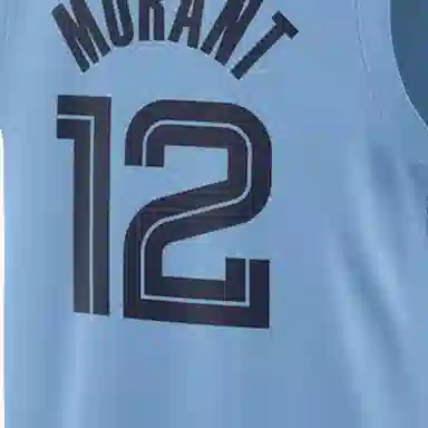 Jordan NBA 12
