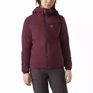 Arcteryx Proton LT Hoody