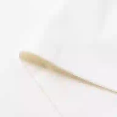 Gucci Logo Ivory T-Shirt