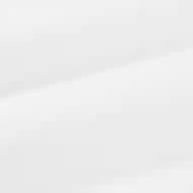 Skechers kidsT SS25 Logo 0019