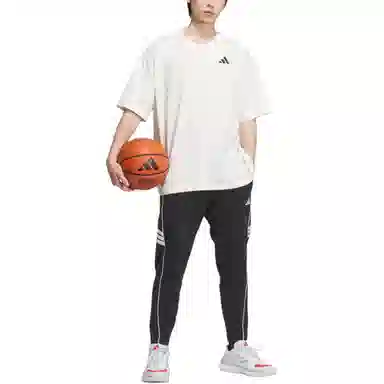 adidas BASKETBALL SS25 INTERCON T-SHIRT T