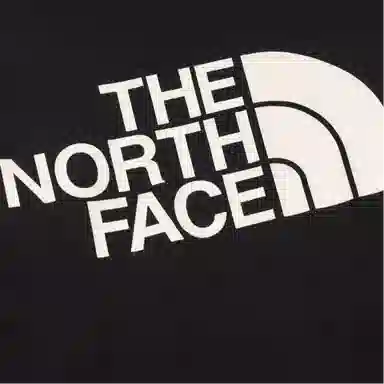THE NORTH FACE logo