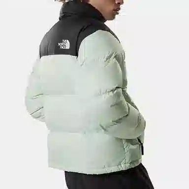 The North Face Novelty Nuptse Down Jacket