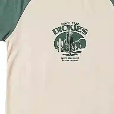 Dickies SS24 T