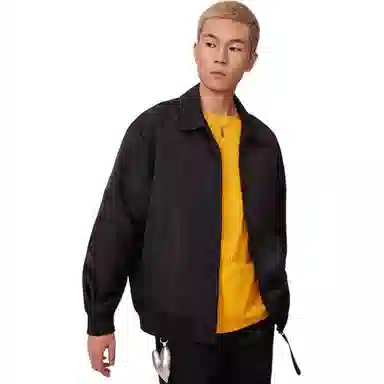 Dickies
