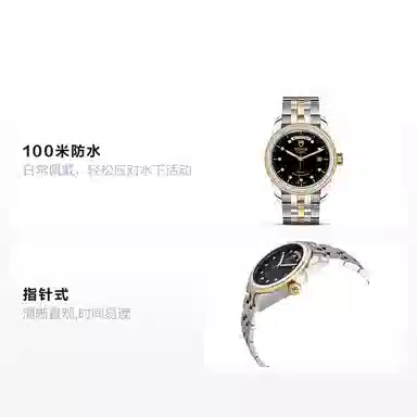 TUDOR 100 39mm K18k M56003-0008