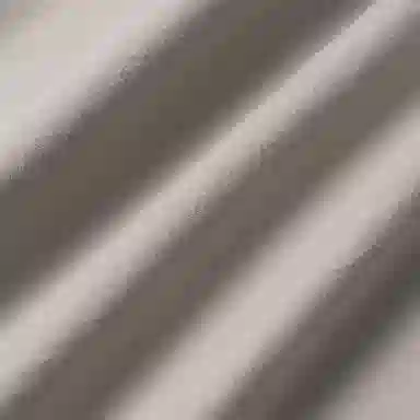 Polo Ralph Lauren Logo