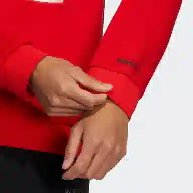 adidas neo M Ssfv1 Hoodie1