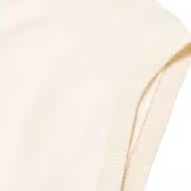 Polo Ralph Lauren SS24 Vlogo