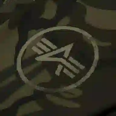 Aape x ALPHA INDUSTRIES FW24