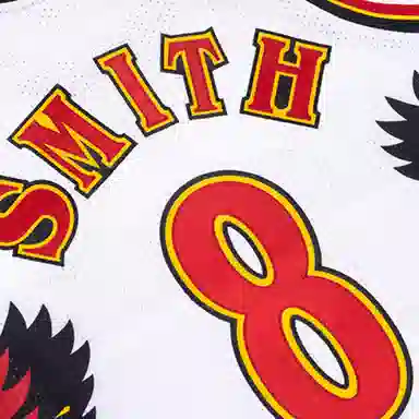 Mitchell Ness NBA AU 95-96 8