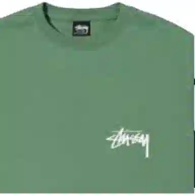 Stussy Coastline Tee