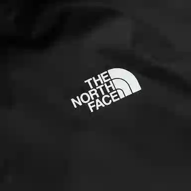 THE NORTH FACE Logo