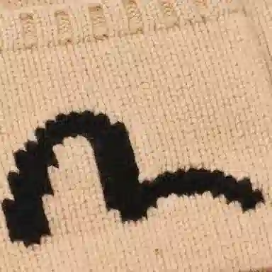 PALACE x EVISU SS24 logo