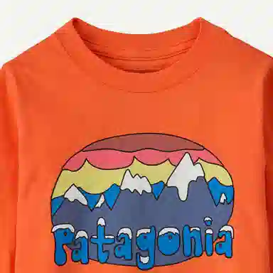 patagoniaT Fitzroy Flurries