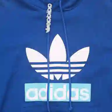 adidas originals Big Trfl Hoodie