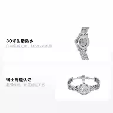 Tissot Le Locle T0062071103800 Silver