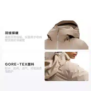 Arcteryx Theris Down Gore-Tex