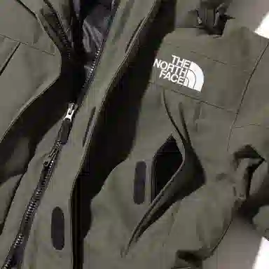 The North Face Logo Print Hooded Down Jacket