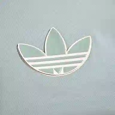 adidas originals Adicolor Hoody Logo