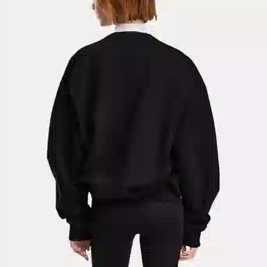 Canada Goose Snow Goose FW25