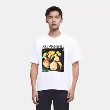 Supreme FW18 Still Life Tee Ash Grey