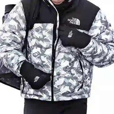 The North Face