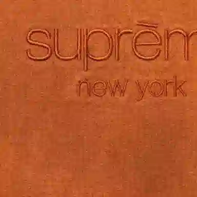 Supreme FW20 Spray Hooded Sweatshirt