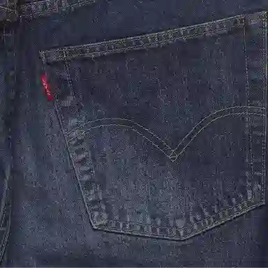 levis FW22