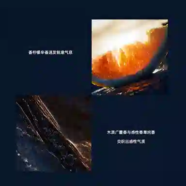 Dior Sauvage Travel Set Amber Wood