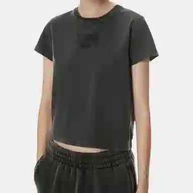 alexander wang Logo T