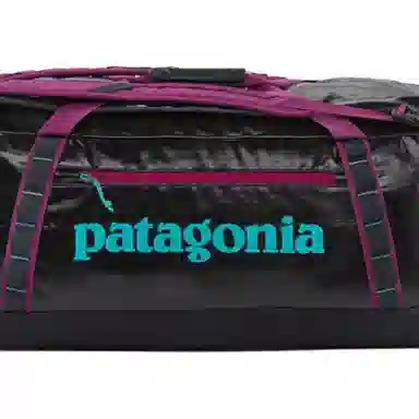 patagonia 70L Logo
