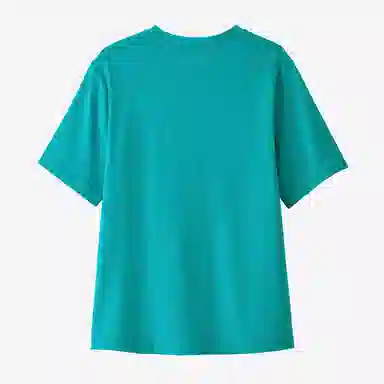 patagonia T