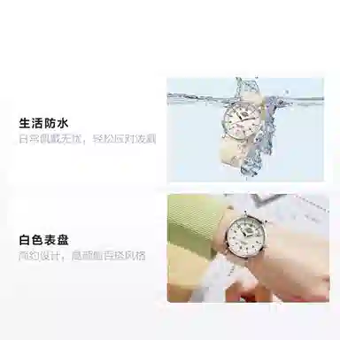 Dickies Quartz Watch