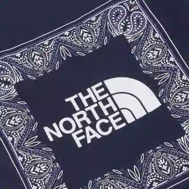THE NORTH FACE Nse Bandana Ss Rtee 1 LogoT