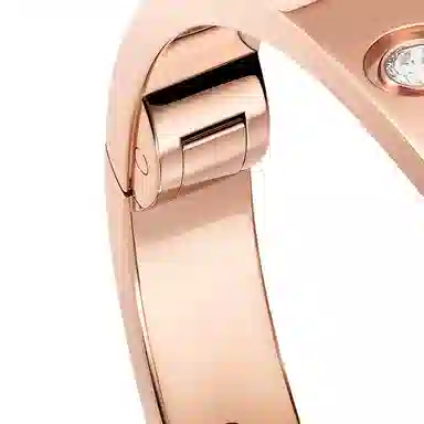 Cartier Love Bracelet