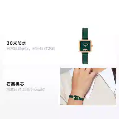 COACH CASS 22 30 14504227