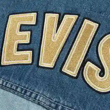 EVISU Logo