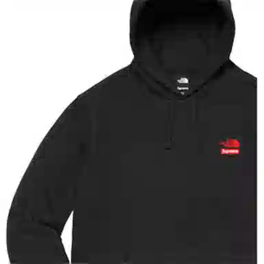 Supreme x THE NORTH FACE FW19 Week 10 Statue of Liberty Hooded Sweatshirt Black