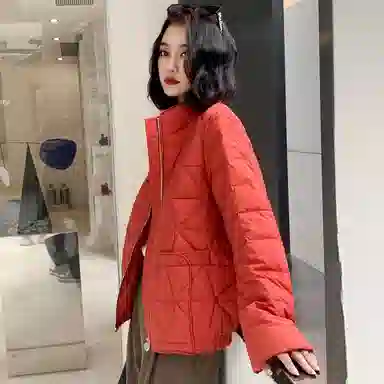 鸭鸭 通勤简约宽松羽绒服 女款