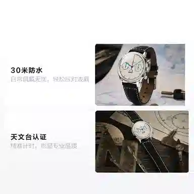 Sea-Gull 1963 819.17.1963A