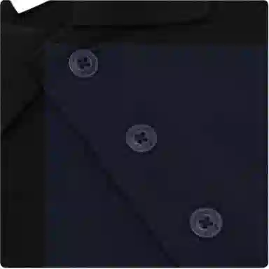 Dickies FW22 LogoPolo