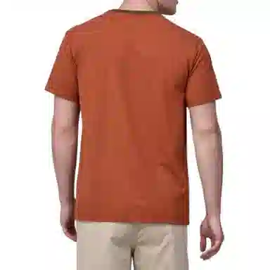 patagonia T