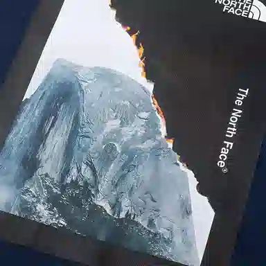 THE NORTH FACE UE T