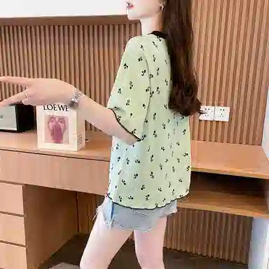 LAKESI inst T