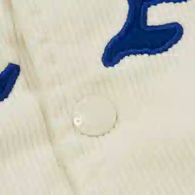 PALACE SS25 Drop3 PALACE LOVE VARSITY JACKET