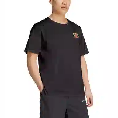 adidas Terrex POLYGIENE GRAPHIC T